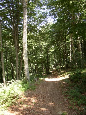 Descente de Lastris