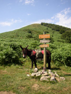 Col de Lastris